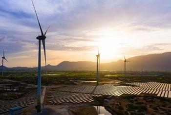 EVN đã hoàn thiện khung giá cho nguồn điện gió, mặt trời ‘chuyển tiếp’
